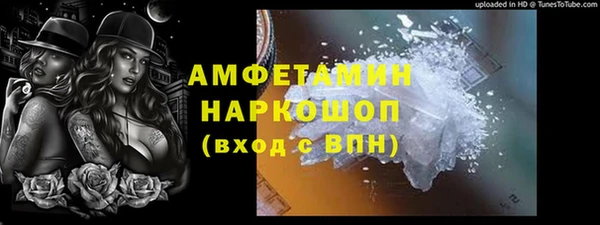 ПСИЛОЦИБИНОВЫЕ ГРИБЫ Вязники