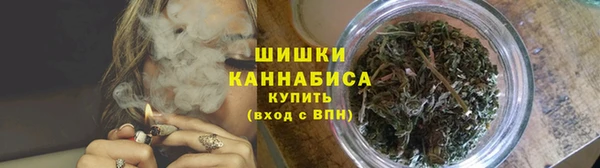 ПСИЛОЦИБИНОВЫЕ ГРИБЫ Вязники