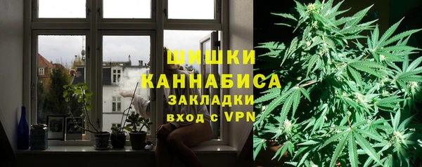 ПСИЛОЦИБИНОВЫЕ ГРИБЫ Вязники